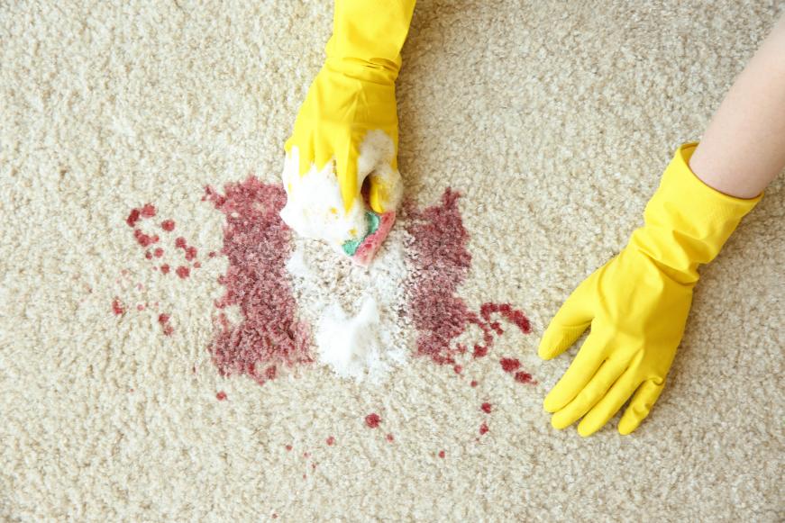 professionnel en nettoyage qui nettoie un tapis avec une tache rouge grace a une eponge et un produit desinfectant. Oceanick Nettoyage au quebec