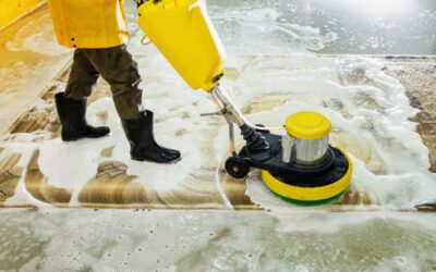 Océanick Nettoyage : votre expert en nettoyage de tapis à Québec